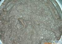 煙臺漁民自家發酵蝦醬 16元500克，小額批發優選