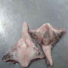 水產品市場全景 從價格、批發到廠家直銷與農副產品銷售一體化