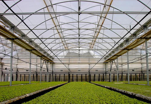 深度解讀 溫室大棚“幾字鋼”式骨架與水產養殖的結合應用